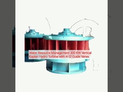 수자원 관리 300 KW 수직 카플란 수력 터빈