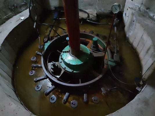 마이크로 파워 발전소를 위한 고정깃 1300 kw 카프란 한국수력원자력 터빈 발전기