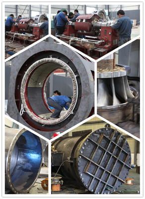 스테인레스 강 180m 머리 펠턴 수력 발전 터빈 550 kw 0.4m3/S