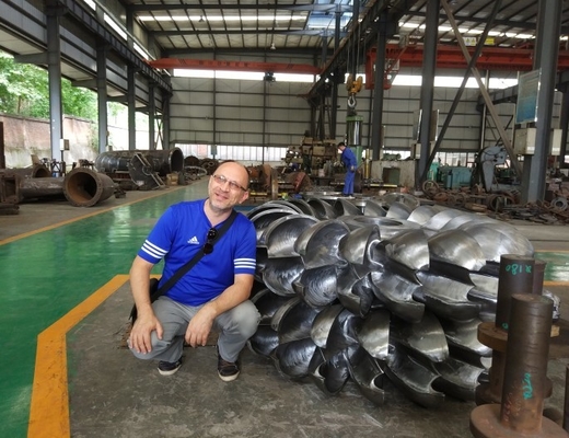 작은 플로우 터빈 펠톤 휠 러너 800KW 수직 수평식