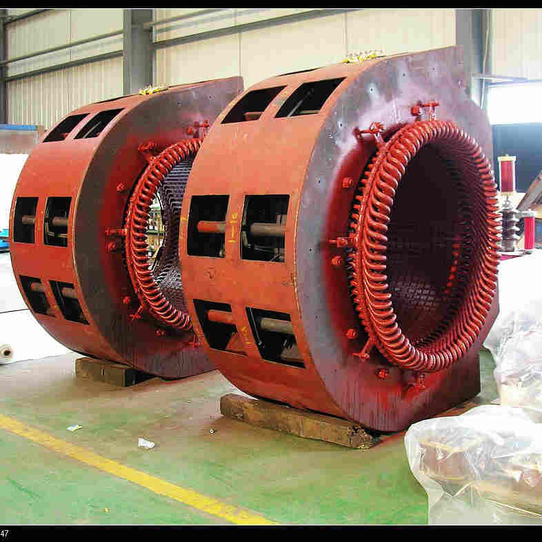 조롱 60Hz 15m 수두에서 떨어져 있는 조롱 위의 300 kw 수직 카프란 수력 발전 터빈 50 hz